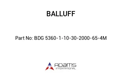 BDG 5360-1-10-30-2000-65-4M									