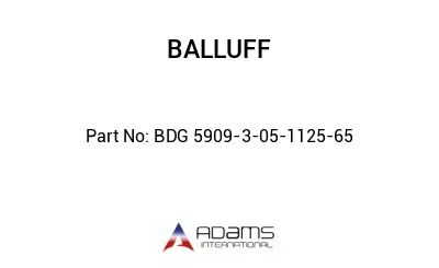 BDG 5909-3-05-1125-65									