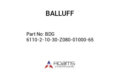 BDG 6110-2-10-30-Z080-01000-65									