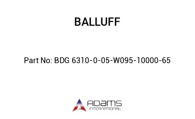 BDG 6310-0-05-W095-10000-65									