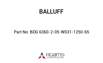 BDG 6360-2-05-W031-1250-65									