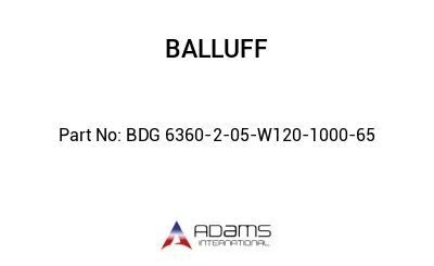 BDG 6360-2-05-W120-1000-65									