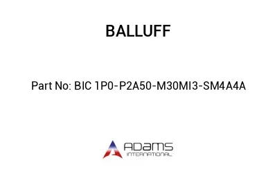 BIC 1P0-P2A50-M30MI3-SM4A4A									