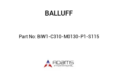 BIW1-C310-M0130-P1-S115									