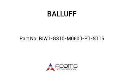 BIW1-G310-M0600-P1-S115									